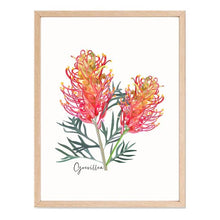 Load image into Gallery viewer, Australian Native Grevillea, Wattle, and Waratah Botanical Poster | Set of 3 - Australiana Gifts Co
