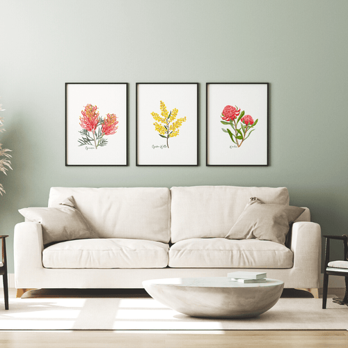 Australian Native Grevillea, Wattle, and Waratah Botanical Poster | Set of 3 - Australiana Gifts Co