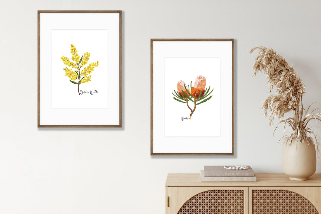 Bold & Striking Australian Native Banksia Poster | Set of 2 - Australiana Gifts Co