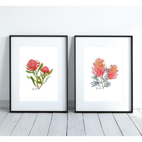 Bold & Vibrant Australian Native Grevillea and Waratah Poster | Set of 2 - Australiana Gifts Co