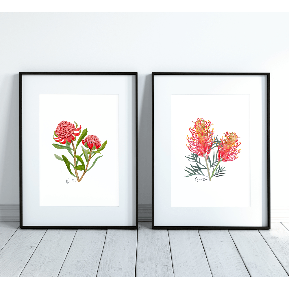 Bold & Vibrant Australian Native Grevillea and Waratah Poster | Set of 2 - Australiana Gifts Co