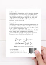 Load image into Gallery viewer, Bottlebrush Flower Card | Red - Australiana Gifts Co
