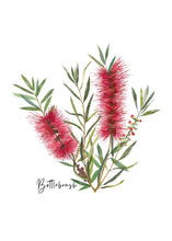 Load image into Gallery viewer, Bottlebrush Flower Card | Red - Australiana Gifts Co
