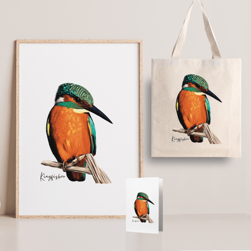 Bright & Alluring Australian Native Kingfisher Poster, Tote Bag & Card Set - Australiana Gifts Co