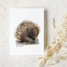 Load image into Gallery viewer, Charming &amp; Unique Australian Native Echidna Poster, Tote Bag &amp; Card Set - Australiana Gifts Co

