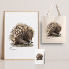 Load image into Gallery viewer, Charming &amp; Unique Australian Native Echidna Poster, Tote Bag &amp; Card Set - Australiana Gifts Co
