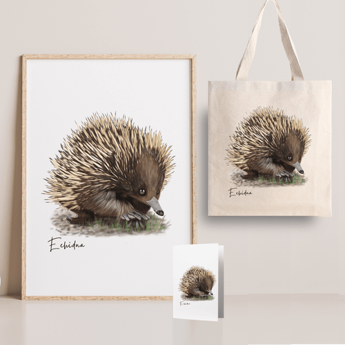 Charming & Unique Australian Native Echidna Poster, Tote Bag & Card Set - Australiana Gifts Co