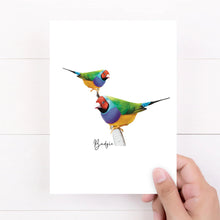 Load image into Gallery viewer, Vibrant &amp; Colourful Australian Native Gouldian Finch Poster, Scarf &amp; Card Set - Australiana Gifts Co
