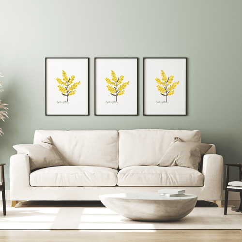 Warm & Radiant Australian Native Golden Wattle Poster | Set of 3 - Australiana Gifts Co