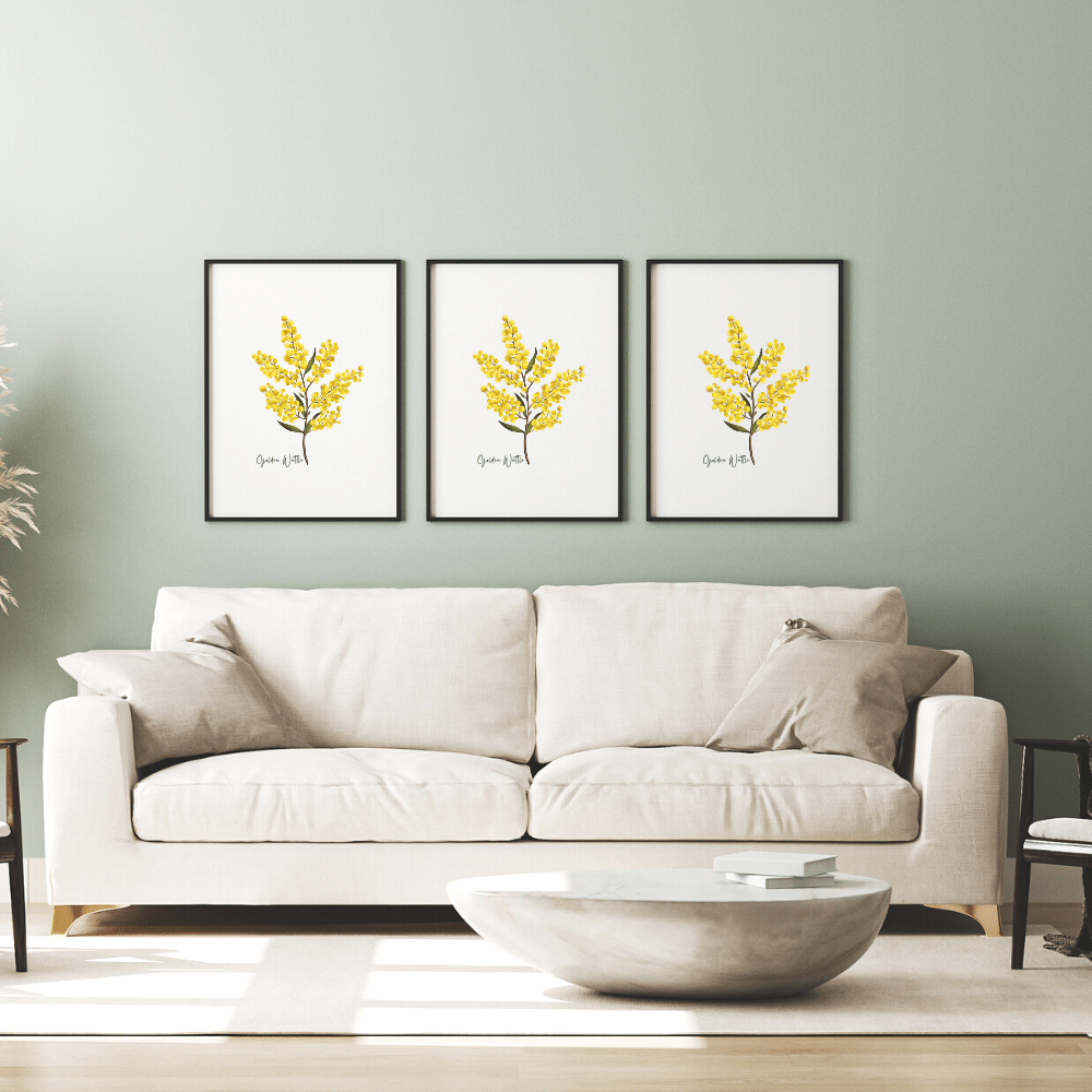 Warm & Radiant Australian Native Golden Wattle Poster | Set of 3 - Australiana Gifts Co