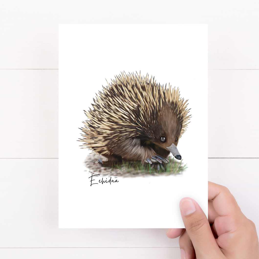 Echidna Card