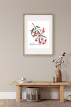 Load image into Gallery viewer, Red Flowering Gum Poster
