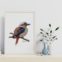 Load image into Gallery viewer, Kookaburra Poster
