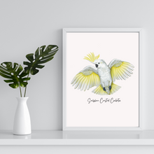Load image into Gallery viewer, Sulphur Crested Cockatoo Poster
