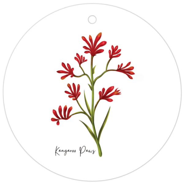 Kangaroo Paws Flower Gift Tag
