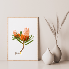 Load image into Gallery viewer, Banksia Flower Poster - Australiana Gifts Co
