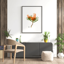 Load image into Gallery viewer, Banksia Flower Poster - Australiana Gifts Co
