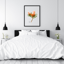 Load image into Gallery viewer, Banksia Flower Poster - Australiana Gifts Co
