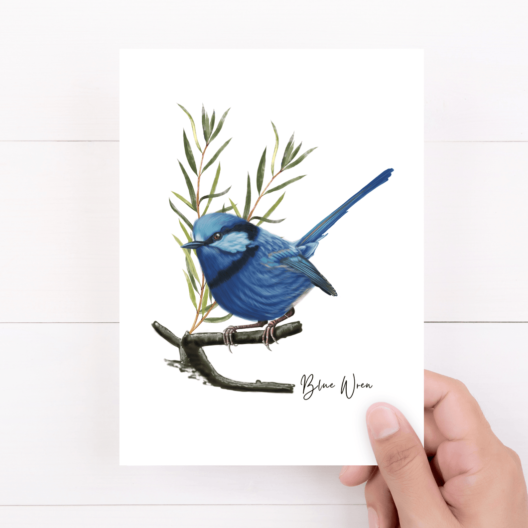 Blue Wren Card - Australiana Gifts Co