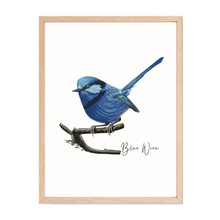 Load image into Gallery viewer, Blue Wren Poster - Australiana Gifts Co

