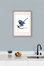 Load image into Gallery viewer, Blue Wren Poster - Australiana Gifts Co
