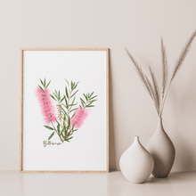 Load image into Gallery viewer, Bottlebrush Flower Poster | Pink - Australiana Gifts Co
