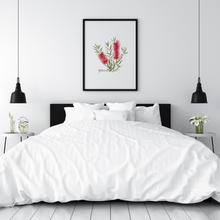 Load image into Gallery viewer, Bottlebrush Flower Poster | Red - Australiana Gifts Co
