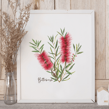 Load image into Gallery viewer, Bottlebrush Flower Poster | Red - Australiana Gifts Co
