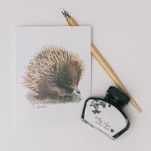 Load image into Gallery viewer, Echidna Card - Australiana Gifts Co
