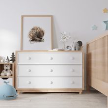 Load image into Gallery viewer, Echidna Poster - Australiana Gifts Co
