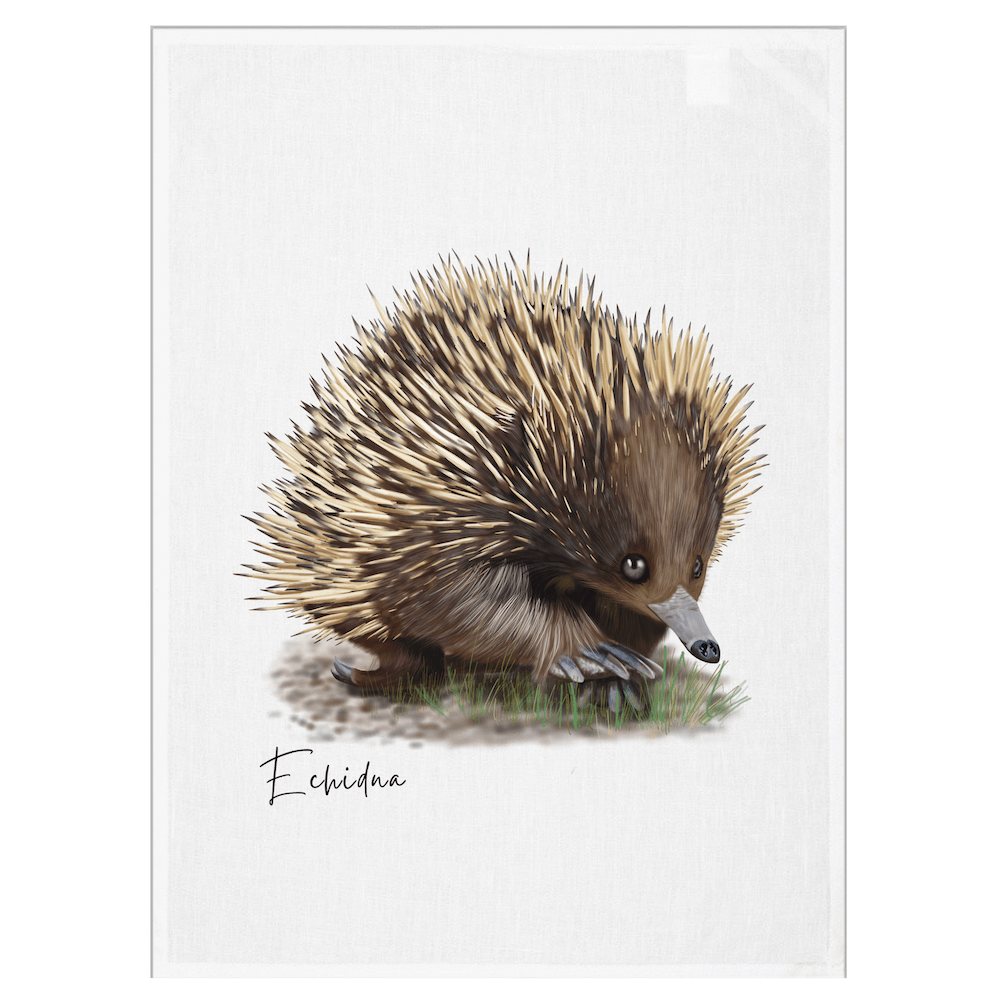Echidna Tea Towel - Australian Design - Australiana Gifts Co