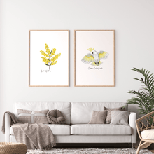 Load image into Gallery viewer, Golden Wattle Flower Poster - Australiana Gifts Co
