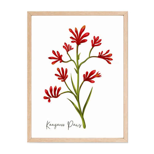 Kangaroo Paw Flower Poster - Australiana Gifts Co
