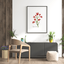 Load image into Gallery viewer, Kangaroo Paw Flower Poster - Australiana Gifts Co
