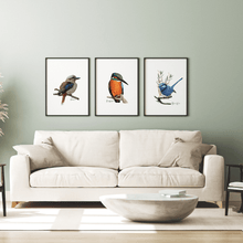 Load image into Gallery viewer, Kingfisher Poster - Australiana Gifts Co
