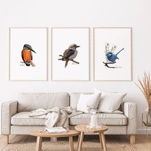 Load image into Gallery viewer, Kingfisher Poster - Australiana Gifts Co
