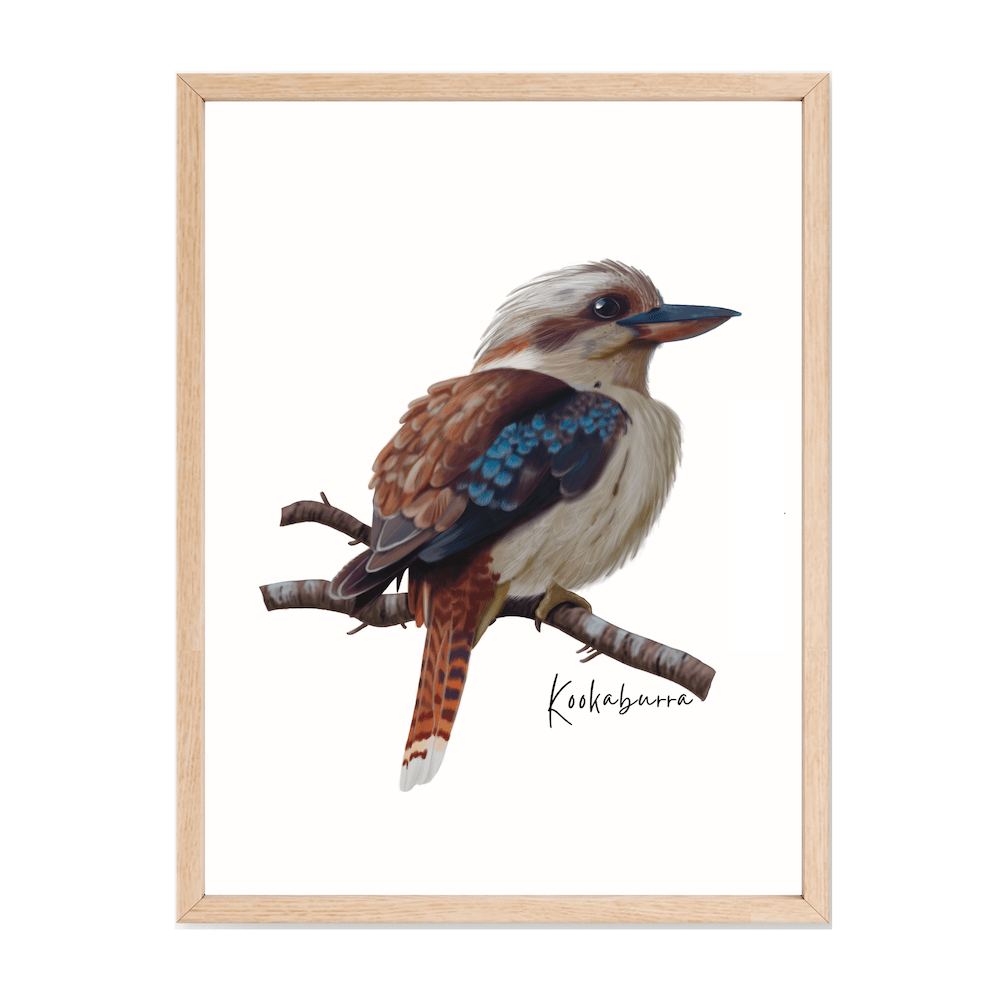 Kookaburra Poster - Australiana Gifts Co