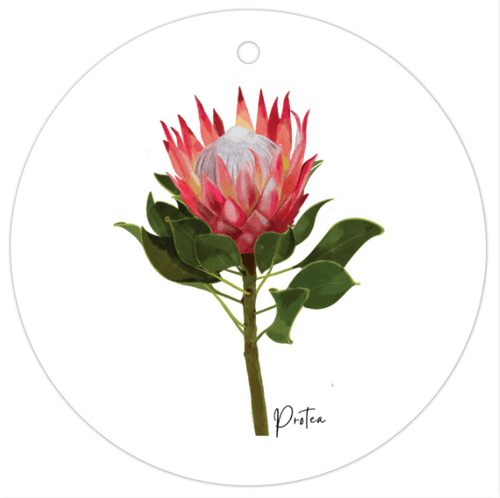 Protea Flower Gift Tag - Australiana Gifts Co