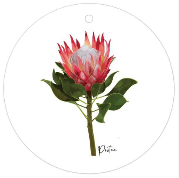 Protea Flower Gift Tag - Australiana Gifts Co