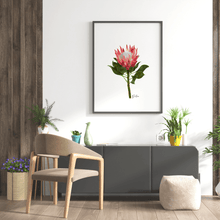 Load image into Gallery viewer, Protea Flower Poster - Australiana Gifts Co
