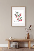Load image into Gallery viewer, Red Flowering Gum Poster - Australiana Gifts Co
