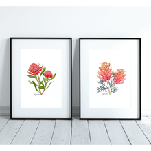 Load image into Gallery viewer, Waratah Flower Poster - Australiana Gifts Co
