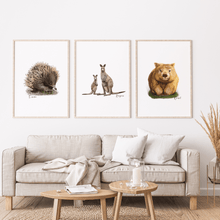 Load image into Gallery viewer, Wombat Poster - Australiana Gifts Co
